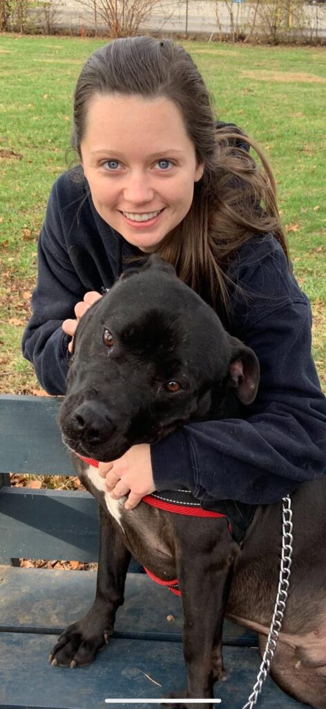 Cuddly King! | Rosie's Southside Animal Shelter