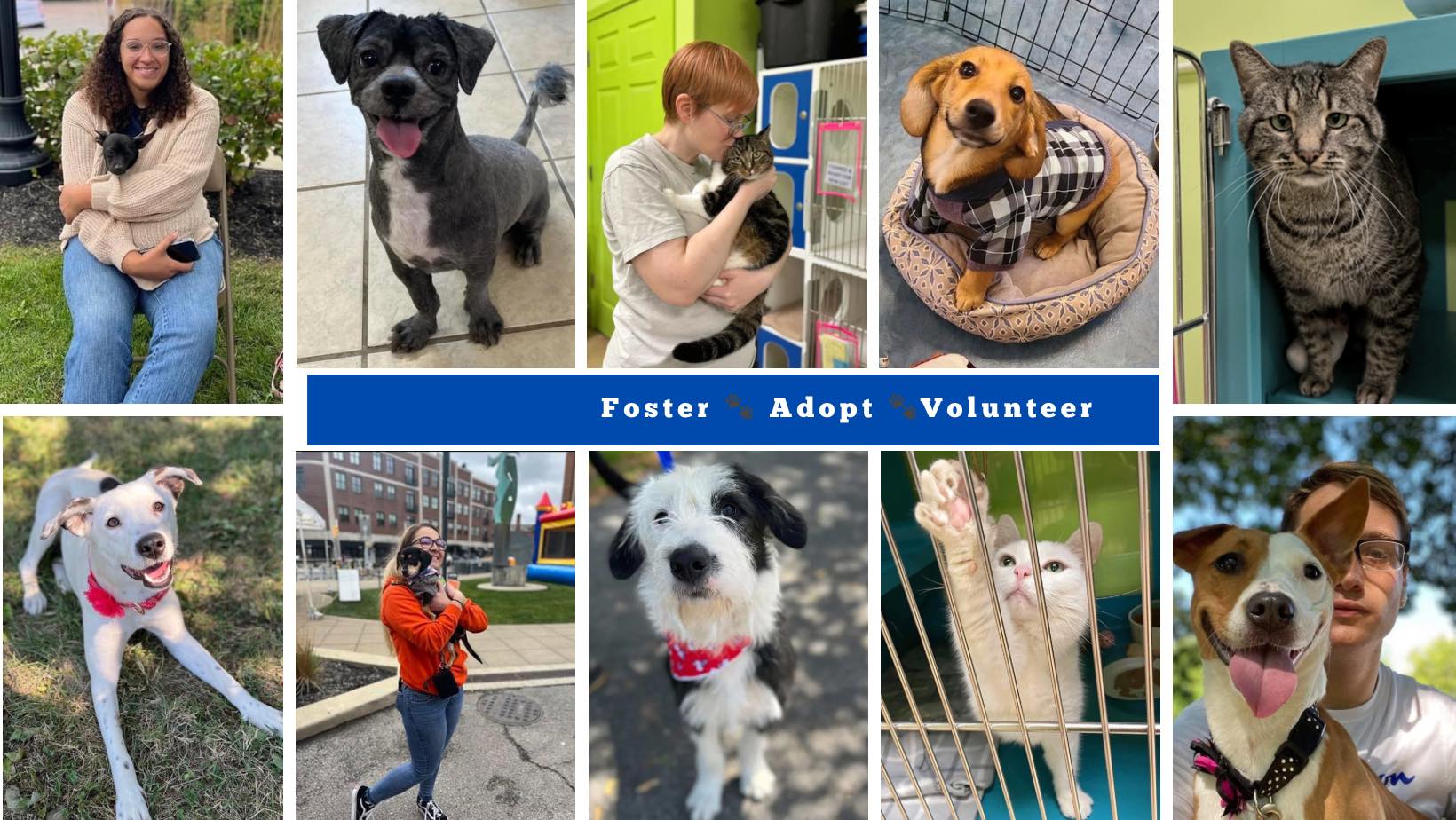 2023 Year In Review | Rosie's Southside Animal Shelter